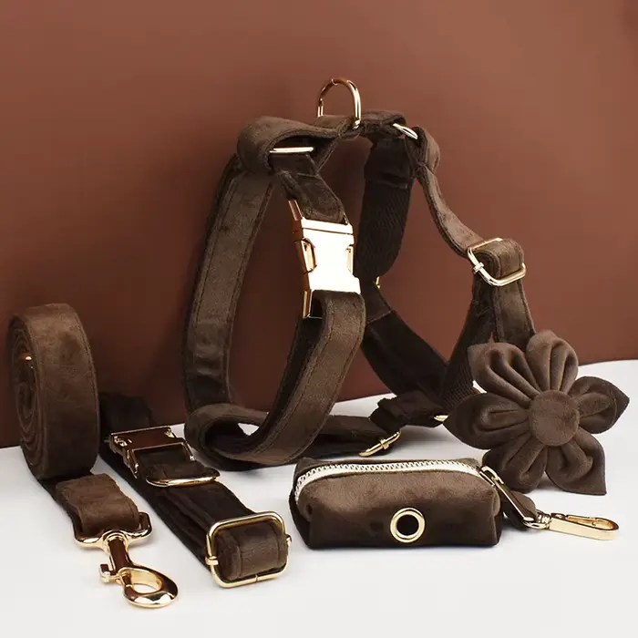 Ensemble collier et laisse pour chien en velours marron foncé, plaque nominative gravée sur mesure, 