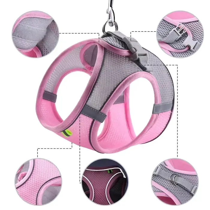 Ensemble de laisse harnais pour chien