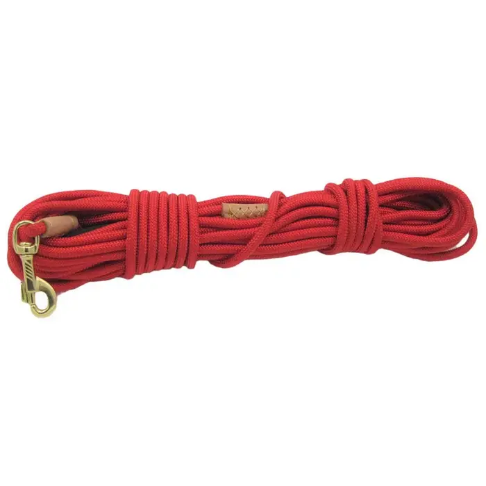 Laisse pour chien longue pour dressage, suivi, obéissance, chiot, laisse pour animal de compagnie, c