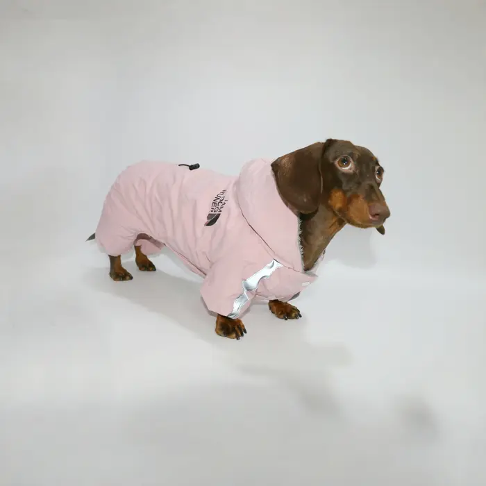 Hiver chaud en peluche teckel chiens imperméable coupe-vent