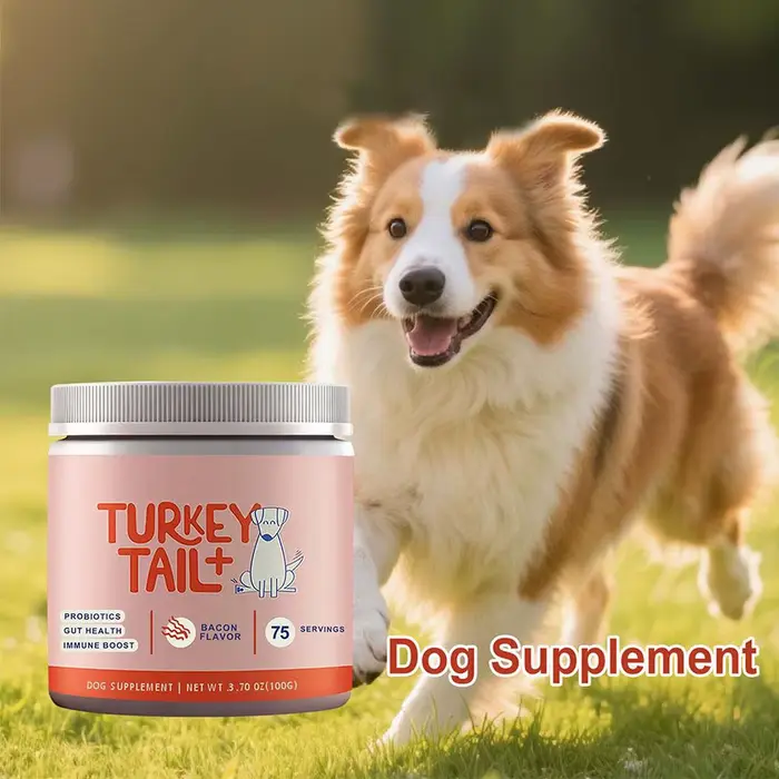 Granulés probiotiques pour chiens pour la santé intestinale - Nourriture douce favorisant une digestion saine