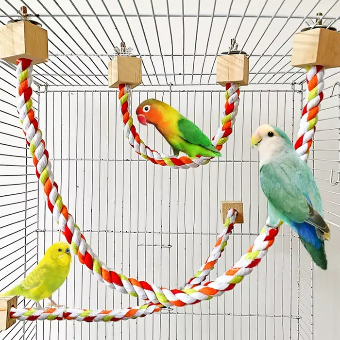 Jouets de morsure d'oiseau pour animaux de compagnie, corde en coton couleur perroquet, jouets d'esc