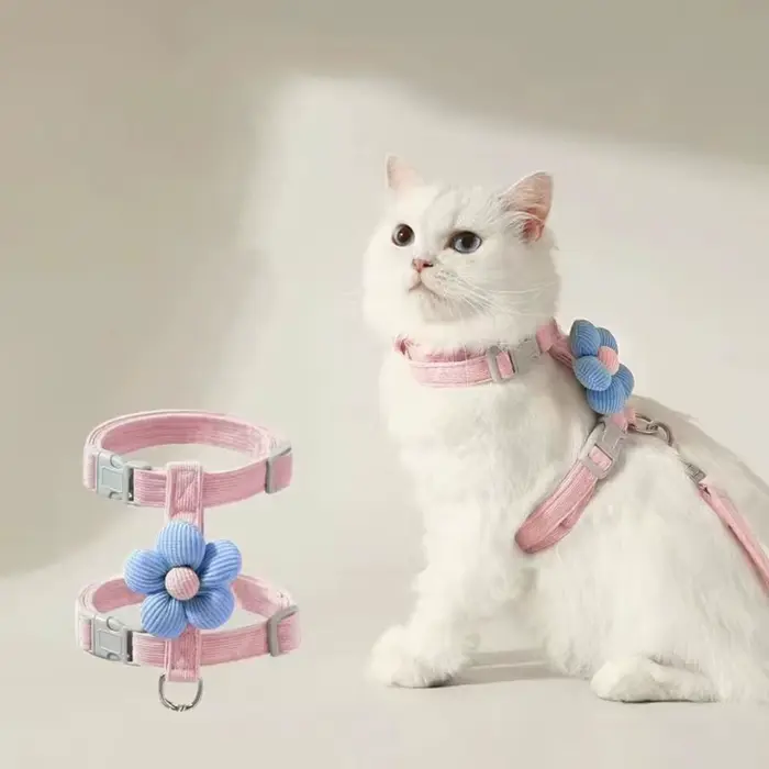 Ensembles de harnais et de laisse pour chat, harnais réglable pour petit chien, harnais pour animaux