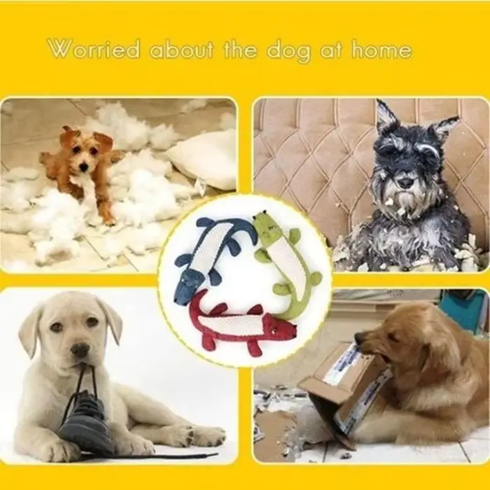 Jouets sonores interactifs pour chiens