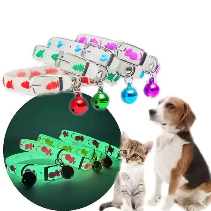 Collier pour animaux de compagnie en Silicone Fluorescent pour chiens