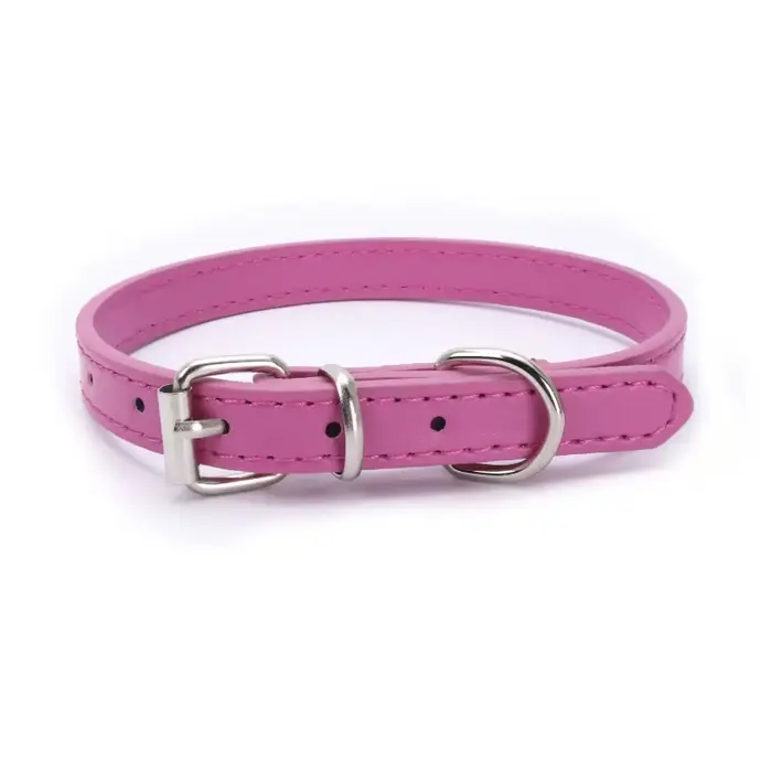 Collier pour chien multicolore simple