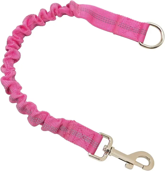 Extension de laisse pour chien - Réglable et extensible, durable, rétractable avec boucle en métal, 