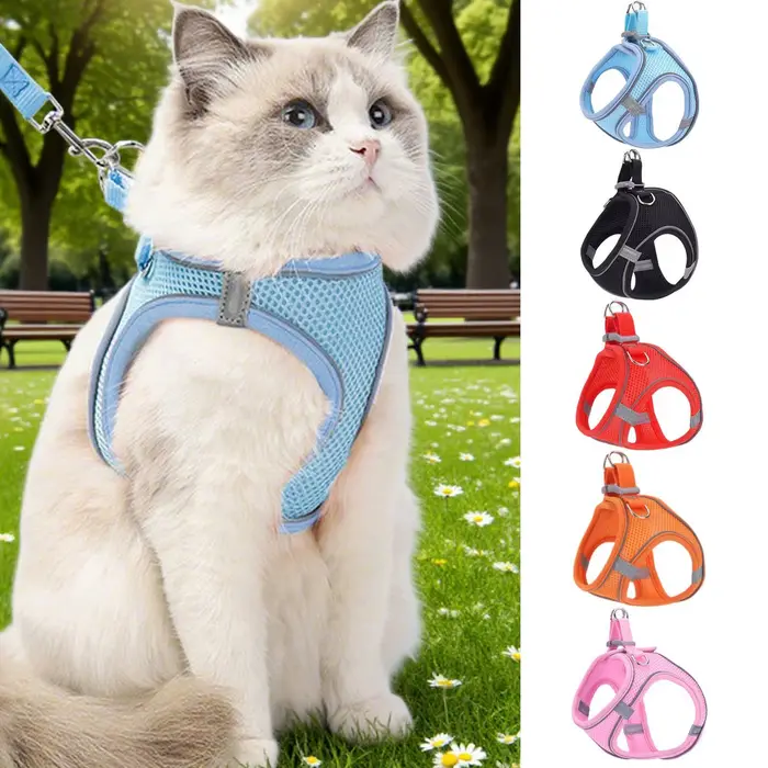 Ensemble de harnais pour chien et chat