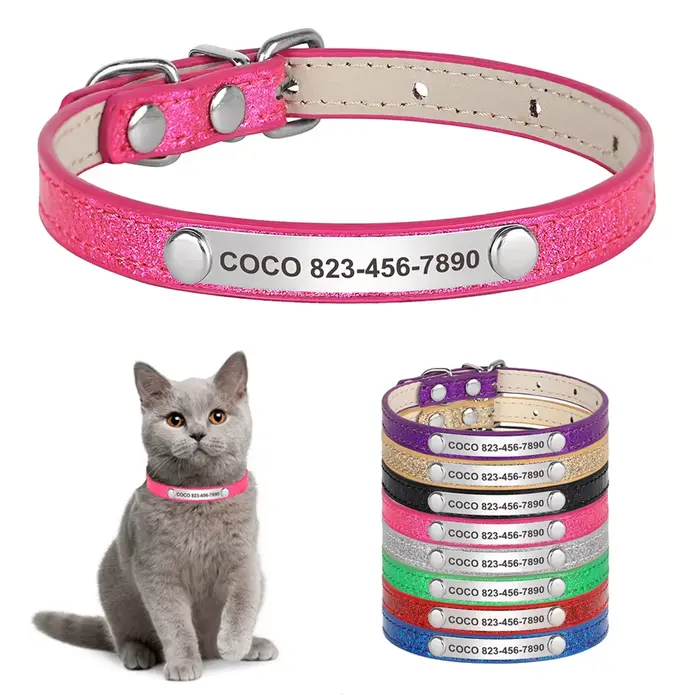 Collier pour chat personnalisé colliers