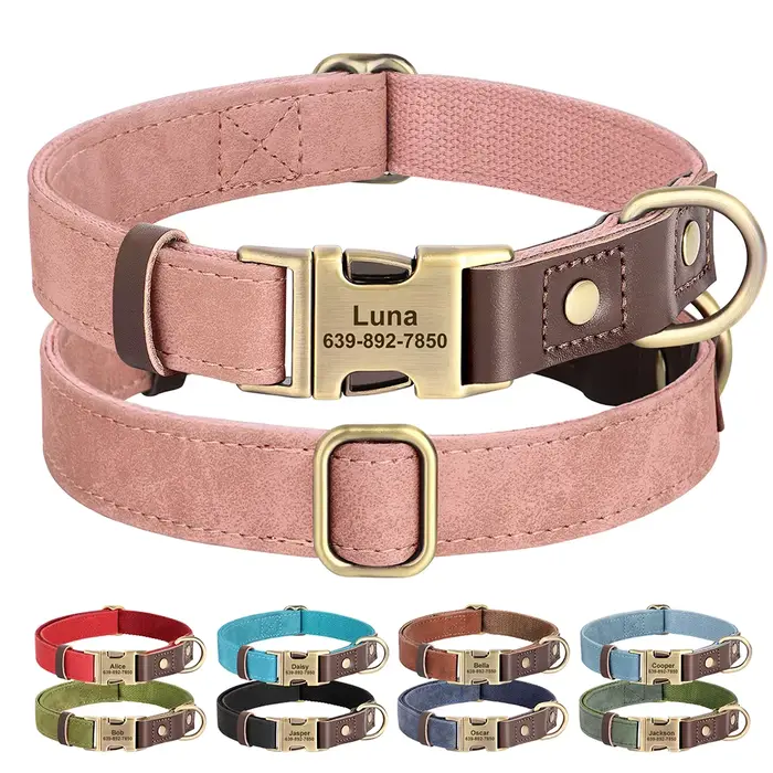 Collier de chien personnalisé colliers