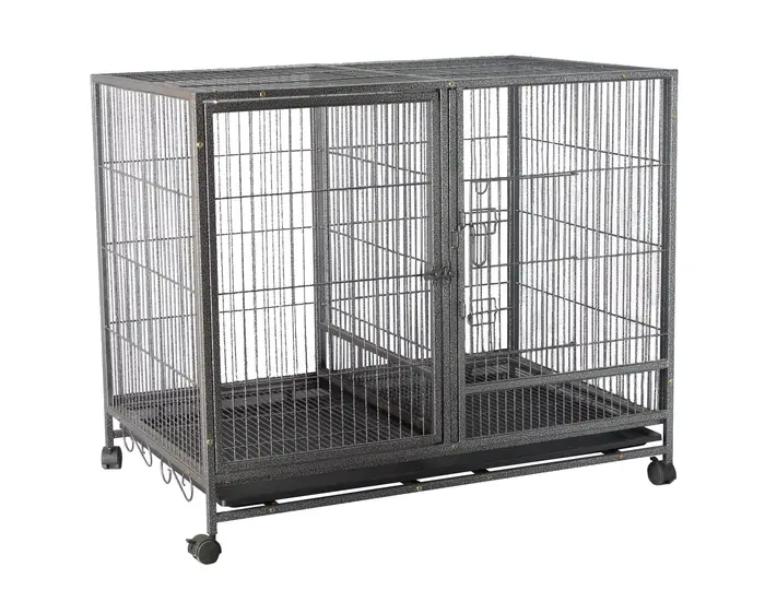 Cage pour animaux de compagnie en acier inoxydable pour animaux de compagnie, grandes cages d'extéri