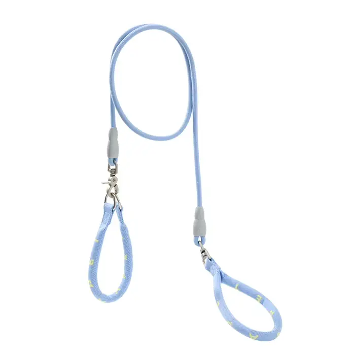 Ensemble collier et laisse pour chien 2 en 1, poignées amovibles, fournitures pour animaux de compag
