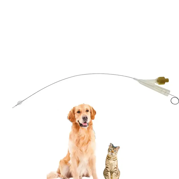 Cathéter urinaire à double cavité pour chats et chiens, avec ballon et fil de guidage, cathéter urinaire importé FR3.5FR4.5