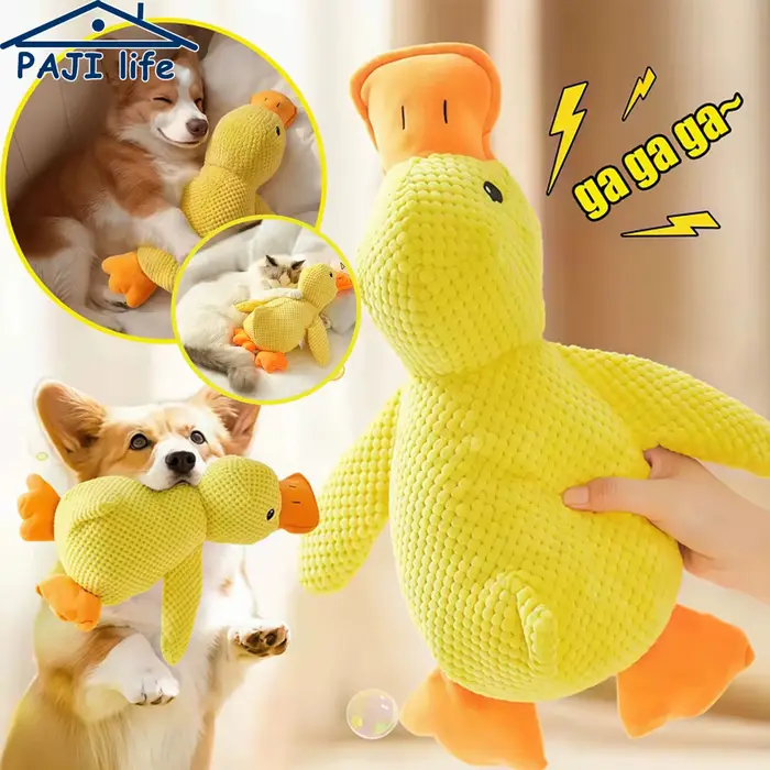 Jouet en peluche pour chien
