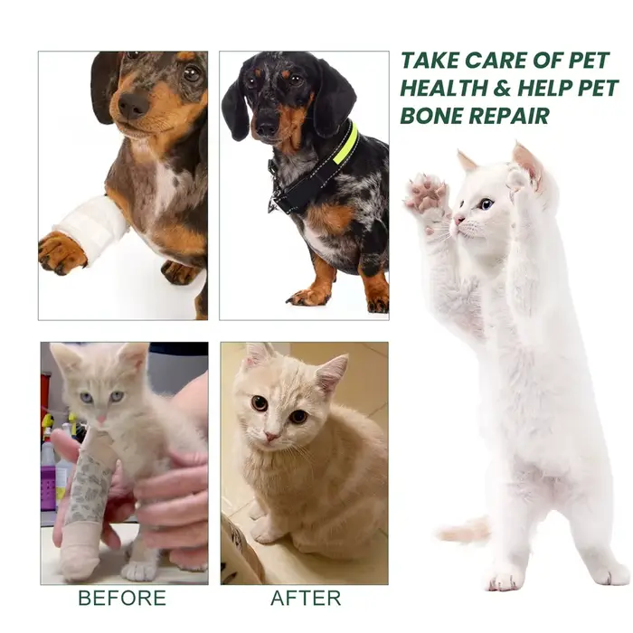 Complément alimentaire pour les articulations des chiens pour soulager l'arthrite et améliorer la mobilité