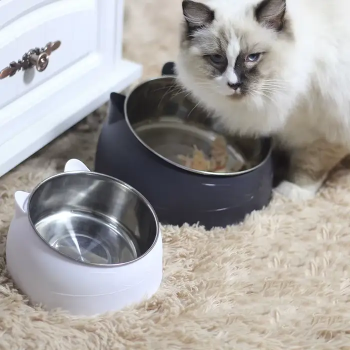 Bols inclinés en acier inoxydable pour chat, Base antidérapante, pour animaux de compagnie, chiots, 