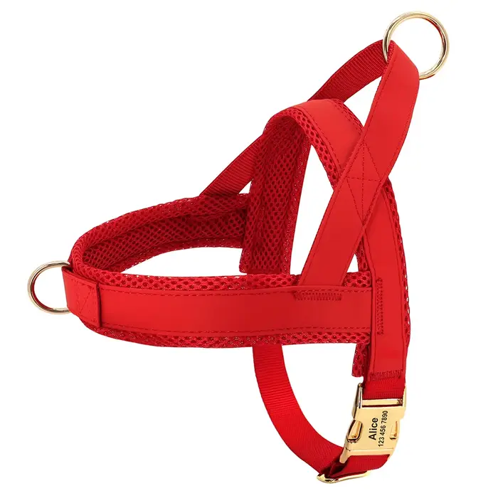 Harnais pour chien personnalisé sans traction, gilet d'entraînement de marche réglable pour animaux 