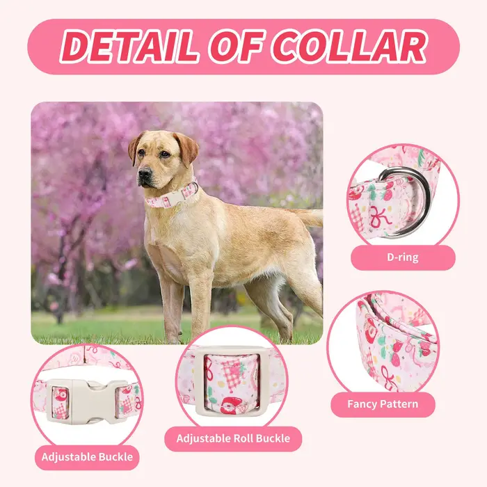 Collier anti-perte réglable et détachable pour chat et chien