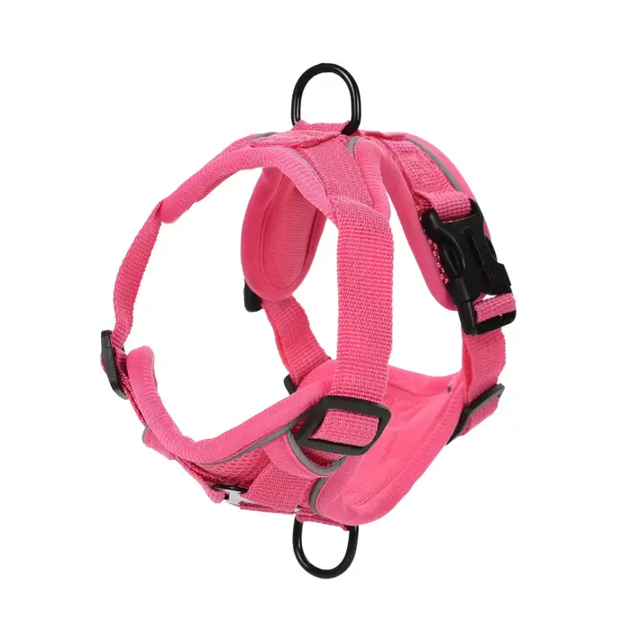 Ensemble de laisse harnais pour chien, pour petits et moyens chiens, chat, randonnée, laisse réglabl