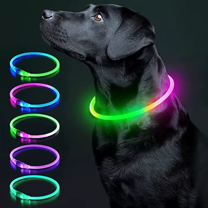 Collier de chien lumineux