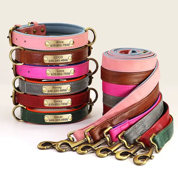 Collier d'identification de chien personnalisé avec laisse, ensemble collier et laisse en cuir PU re