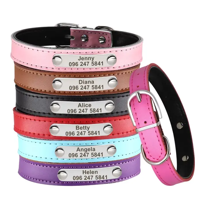 Collier personnalisé en cuir pour chien et chat, réglable, gravé, chaton, chiot, identification, éti
