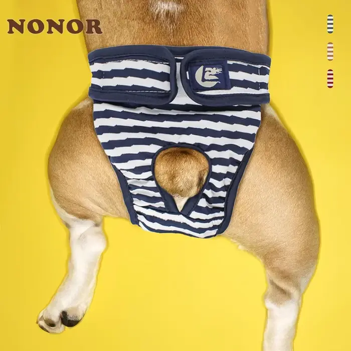 Nonor-Culotte short lavable pour chien féminin, sous-vêtement menstruel, combinaison physiologique p