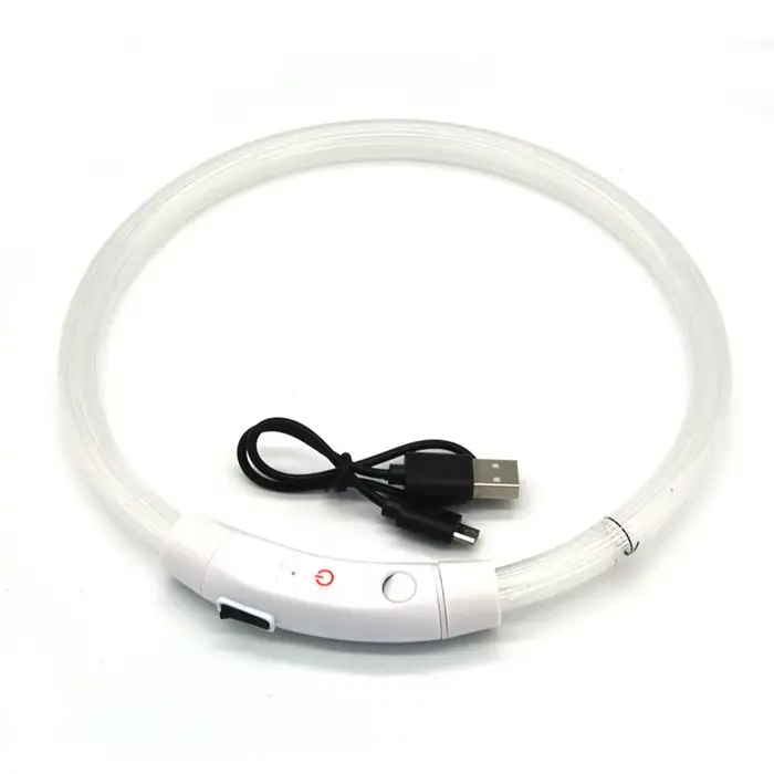 Collier pour chien en fibre optique LED PVC, lumière de sécurité nocturne rechargeable par USB, mult