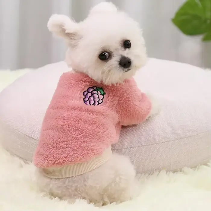 Vêtements pour chiens de petite taille S-XXL