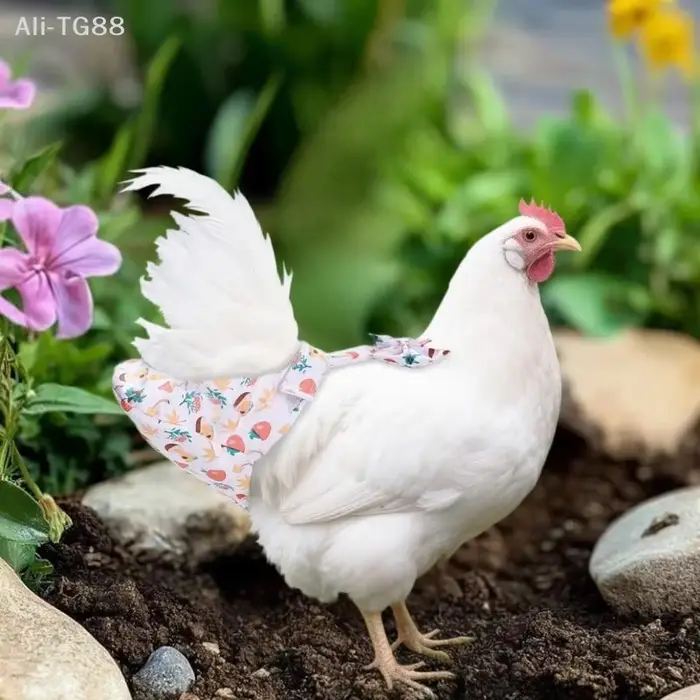 1/2 Pièces Ensemble de laisse de traction pour animaux de compagnie