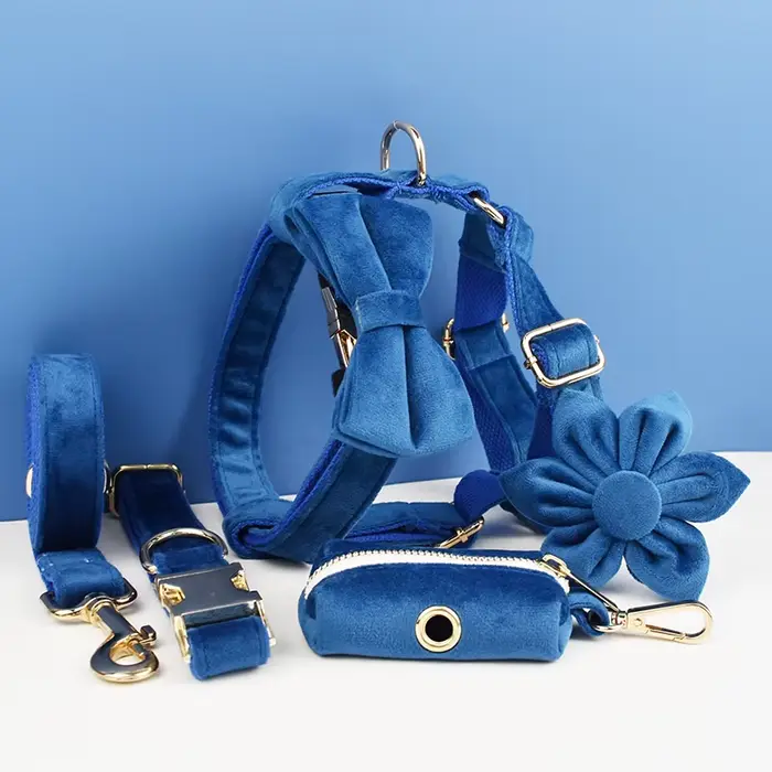 Ensemble collier et laisse pour chien en velours bleu, pour chiens de petite, moyenne et grande tail