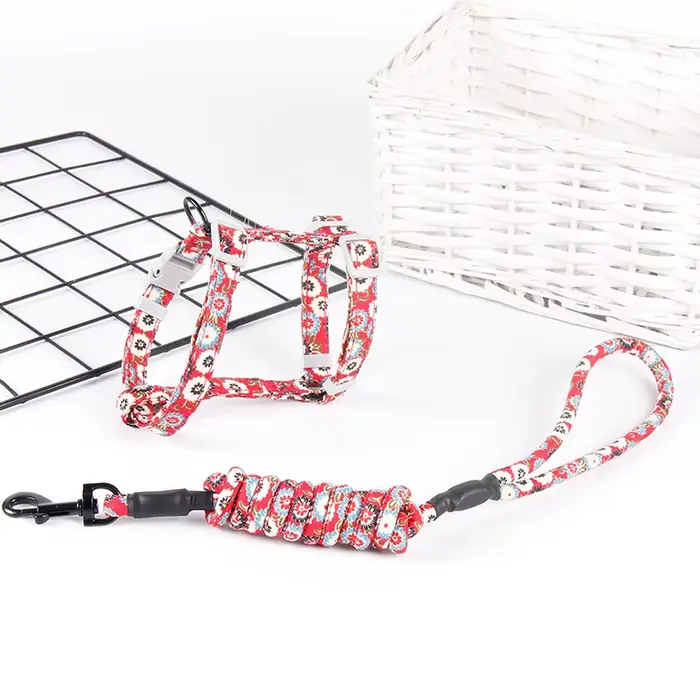 Collier pour chien, harnais, laisse réglable, Traction pour chat, chaton, licou, produits pour chats