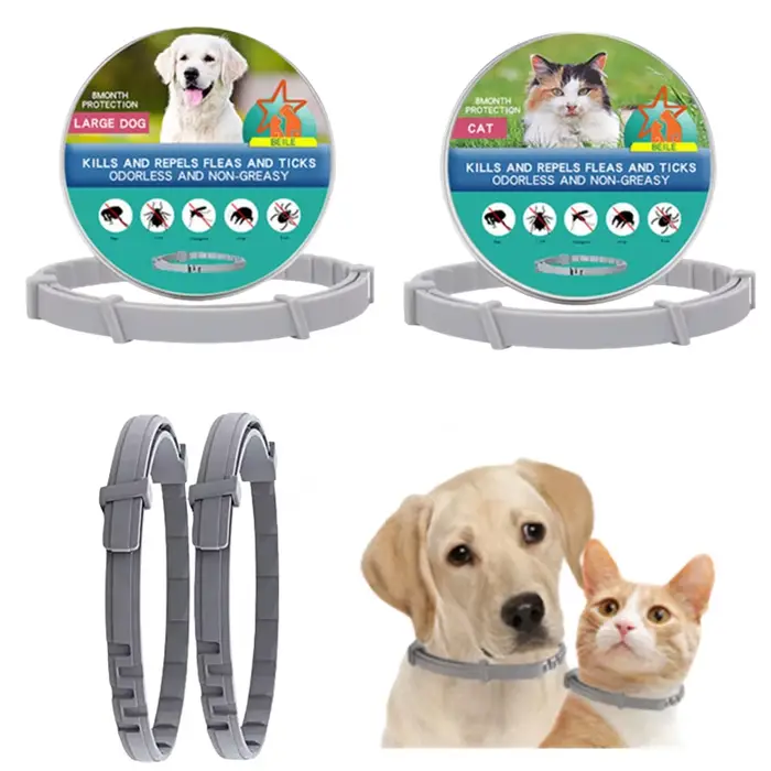 Collier extensible anti-puces pour animaux de compagnie, personnalisé, anti-puces et tiques, grand c