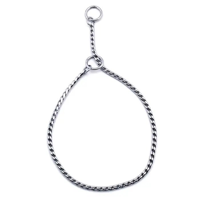 Collier de étranglement en métal pour chien