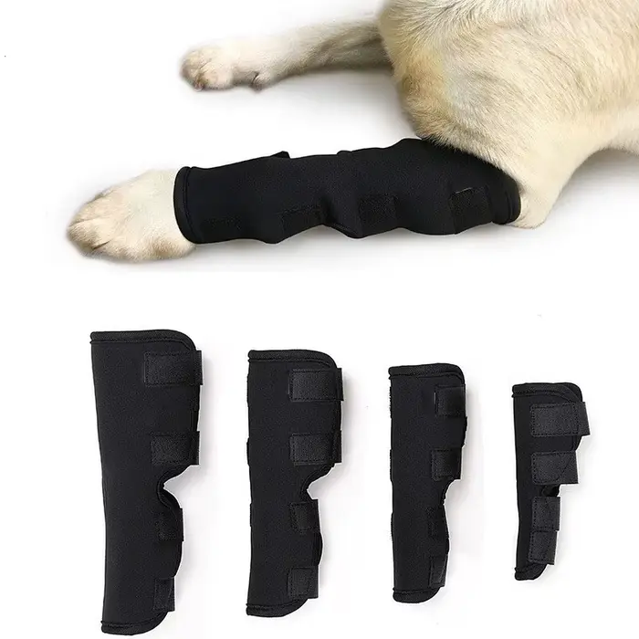 Bandages pour chiens de compagnie blessure pour chiens jambe genouillère sangle de Protection pour c