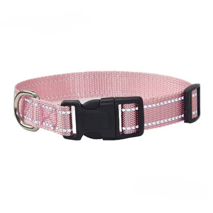 Ensemble collier et laisse pour chien en Nylon