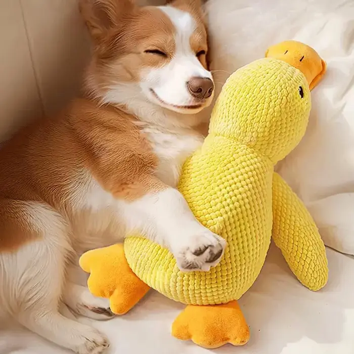 Jouet pour chien en forme de canard
