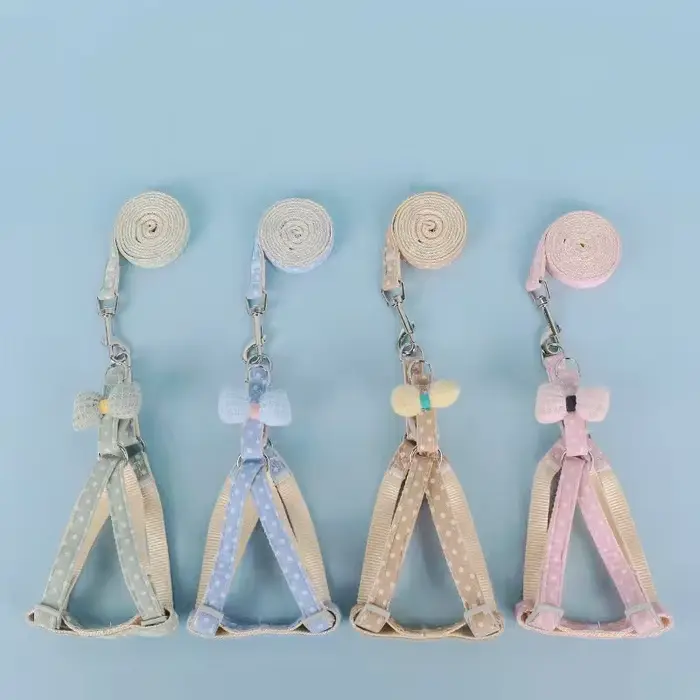 Corde de marche extérieure SFP pour animaux de compagnie
