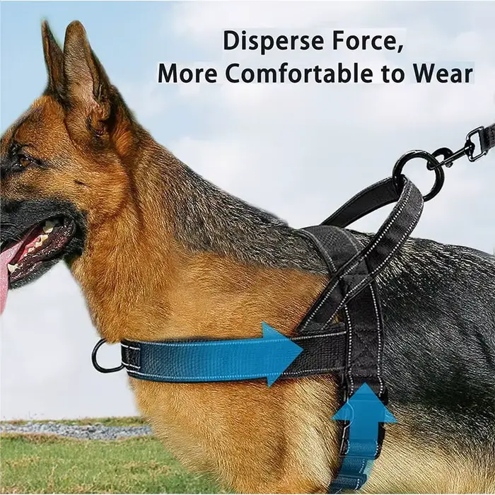 ​ ​ Harnais tactique pour chien