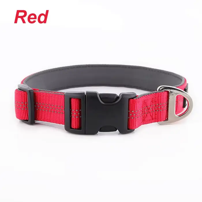 Colliers réglables en acier inoxydable pour animaux de compagnie, matériau 3/4, anti-étranglement, s