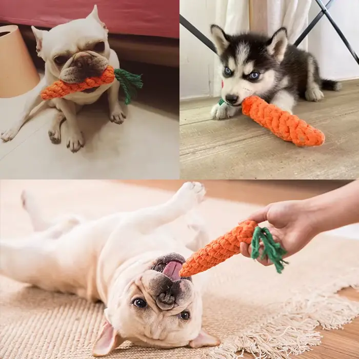 Jouets pour chiens de compagnie, jouets à mâcher pour animaux de dessin animé, durables, tressés, ré