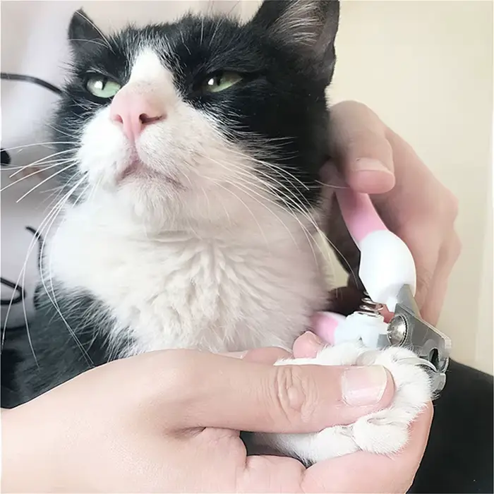 Coupe-ongles professionnel pour animaux de compagnie, en acier inoxydable, bicolore, pour chien et c