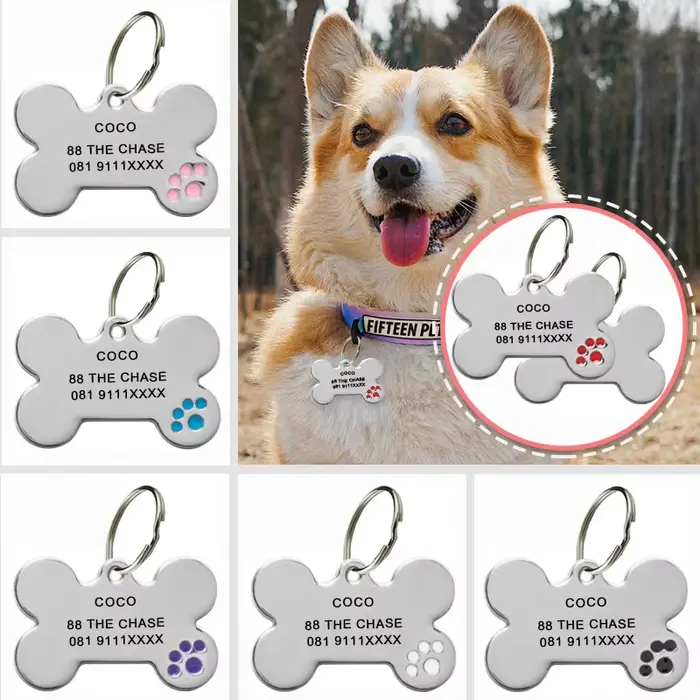 Étiquette d'identification Anti-perte pour chien, gravure personnalisée, nom d'animal de compagnie p