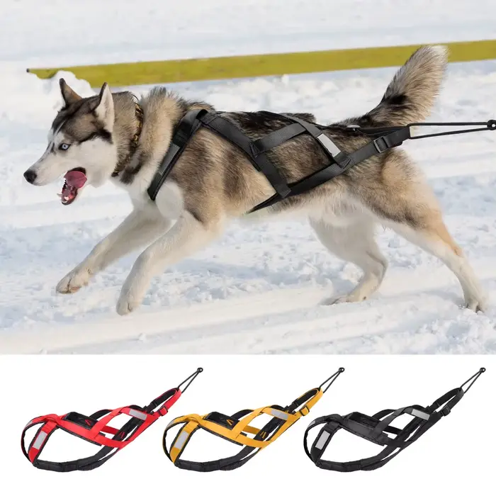 Traîneau à chiens étanche SFP Casting, Skijoring pour animaux de compagnie, grand chien, traction de