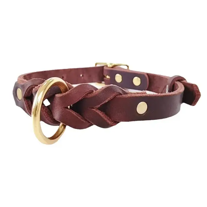 Collier de chien en cuir tressé avec anneau en D en laiton antirouille Durable collier en cuir vérit