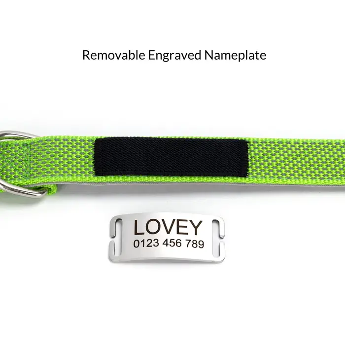Collier pour chien personnalisé avec étiquette gravée amovible