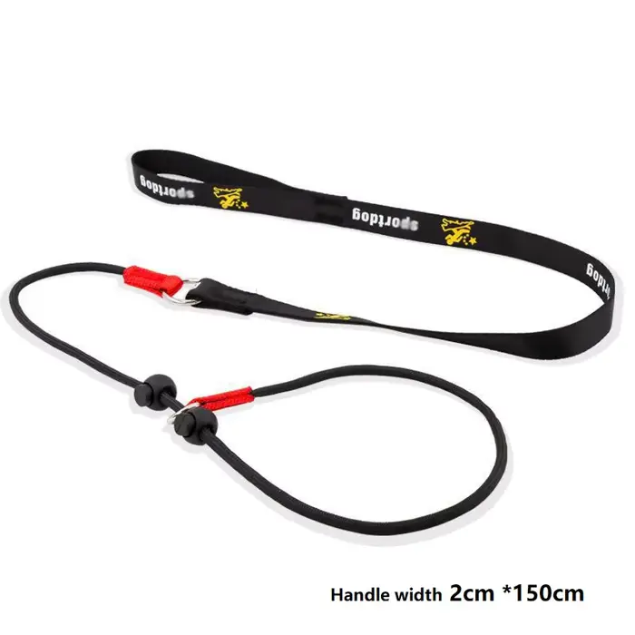 Laisse de dressage pour chien anti-étranglement 2-en-1, collier et laisse de contrôle en chaîne en P