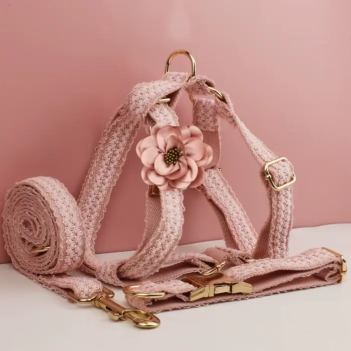 Collier pour chien en dentelle rose personnalisé, plaque nominative gravée sur mesure, collier de ma