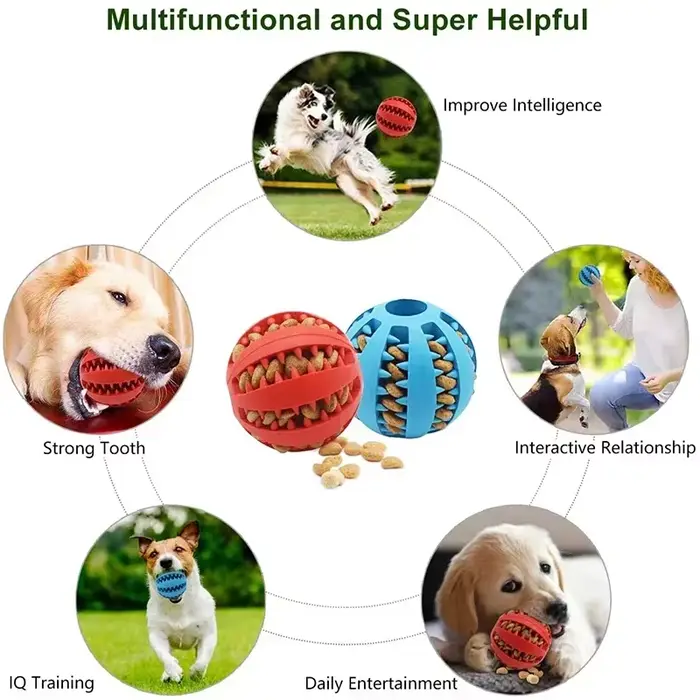 Jouets pour chiens, enrichissement des petits animaux de compagnie