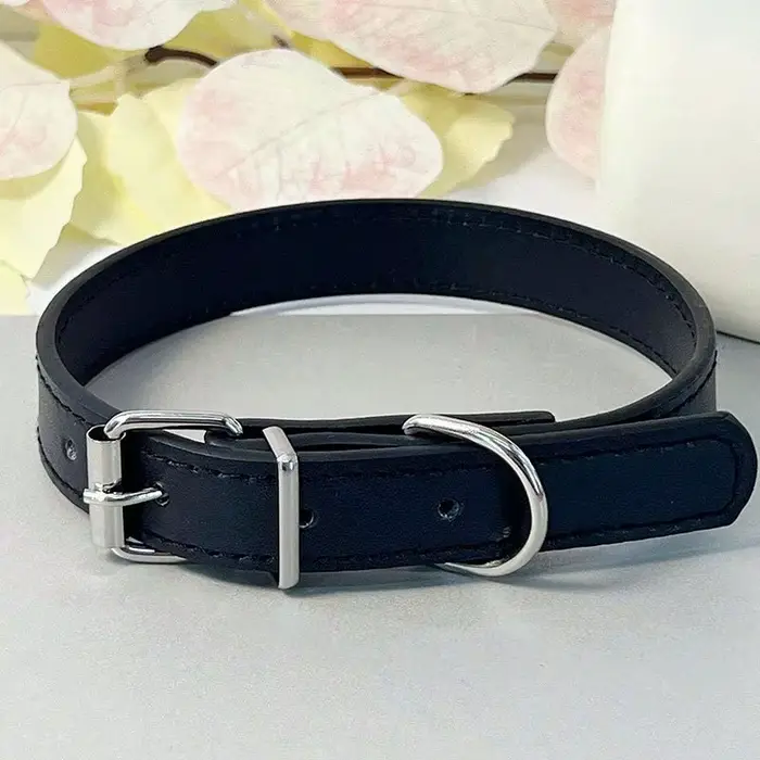 Collier pour chien collier pour animaux de compagnie Simple collier plat en cuir pour chat avec cloc